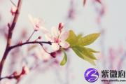 &*&*&用神为火怎么补救 以火为用神配饰要带红的吗？