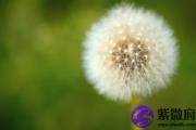 七杀格行印运 七杀格遇印运好吗