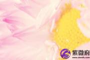 戊午日出生看配偶 戊午日人命运详解