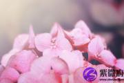 日柱坐墓反为贵为什么？日柱坐墓