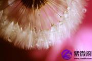用神被藏 用神在支藏干中有作用吗