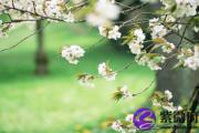 壬申日柱易得配偶宠爱 壬申日为什么是下等命