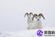 魁罡日出生的人的性格 历史上命带魁罡的名人