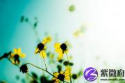 时柱天乙贵人看配偶 时坐天乙贵人