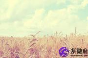 五行喜用神是水 喜用神为水忌什么