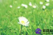 甲子日生于寅时 甲子日寅时生命运好吗
