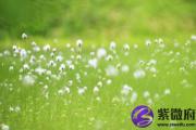 癸亥日与癸亥日配吗 癸亥日柱与癸亥日柱是否适合
