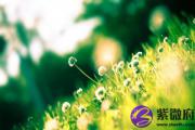 辛亥日与辛酉日配吗 辛亥日柱与辛酉日柱是否适合