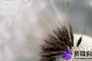 癸亥日出生名人明星 癸亥日生人怎么样