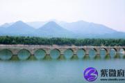丁酉日生于巳月解析 丁酉日生于巳月命运好吗
