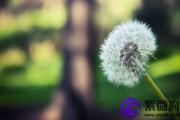 甲子日与甲辰日配吗 甲子日柱与甲辰日柱是否适合