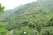选墓地的最基本原则