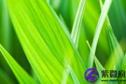 壬子日婚姻怎么样？壬子日柱婚姻情况