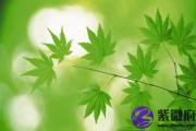 甲辰日适合佩戴什么 甲辰日佩戴什么能带来好运