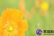 丁未日五行属什么 丁未日五行相生相克