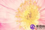己丑日哪个时辰生好？详解己丑日出生时辰
