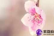 癸丑日出生名人明星 癸丑日生人怎么样