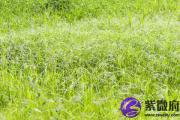 癸巳日生于亥月解析 癸巳日生于亥月命运好吗