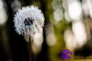 大溪水五行属什么 大溪水命五行解析
