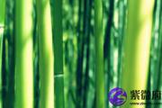 天上火命是什么意思 天上火命好不好