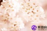 癸酉日男女命性格详解 一生好吗