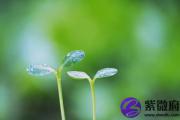 海中金命是什么意思 海中金命好不好