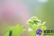 庚戌日与庚申日配吗 庚戌日柱与庚申日柱是否适合