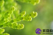 大溪水命是什么意思 大溪水命运如何