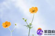 大溪水幸运数字 大溪水的吉祥数字