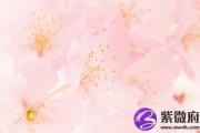 杨柳木命住几楼好 杨柳木命选择房子住几层最好