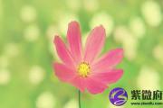 山头火命是什么意思 山头火命运如何