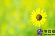 癸丑日五行属什么 癸丑日五行相生相克