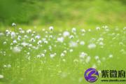 沙中土命开什么颜色的车 沙中土适合什么颜色的车