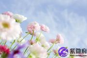 山头火和大海水配吗 山头火和大海水婚姻如何？