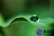辛未日与丙戌日配吗 辛未日柱与丙戌日柱是否适合