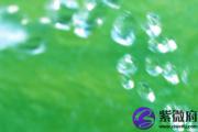 乙亥日生于酉时 乙亥日酉时生命运好吗