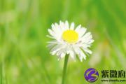 己巳日男命看婚姻 己巳日柱男婚姻怎么样