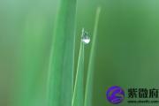 戊寅日生于辰时 戊寅日辰时生命运好吗