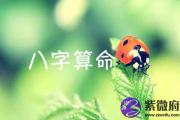 &*&*&论命网 水墨先生&*&*&在线论命
