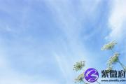 大海水适合什么颜色 大海水幸运颜色