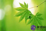 丁酉日与壬申日配吗 丁酉日柱与壬申日柱是否适合