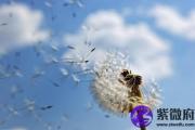 女命海中金解析 海中金女的命运
