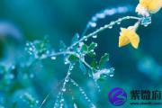 女命大海水解析 大海水女的命运