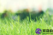 壬辰日与戊戌日配吗 壬辰日柱与戊戌日柱是否适合