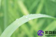 庚寅日与壬申日配吗 庚寅日柱与壬申日柱是否适合