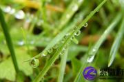 丁未日与乙巳日配吗 丁未日柱与乙巳日柱是否适合