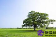 大驿土和城头土配吗 大驿土和城头土婚姻如何？