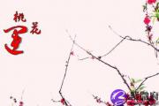 咸池桃花入命有什么用？咸池肯定是烂桃花吗