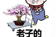 流年遇咸池桃花会怎样？咸池桃花能遇正缘吗？