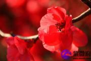 辛亥日与壬申日配吗 辛亥日柱与壬申日柱是否适合